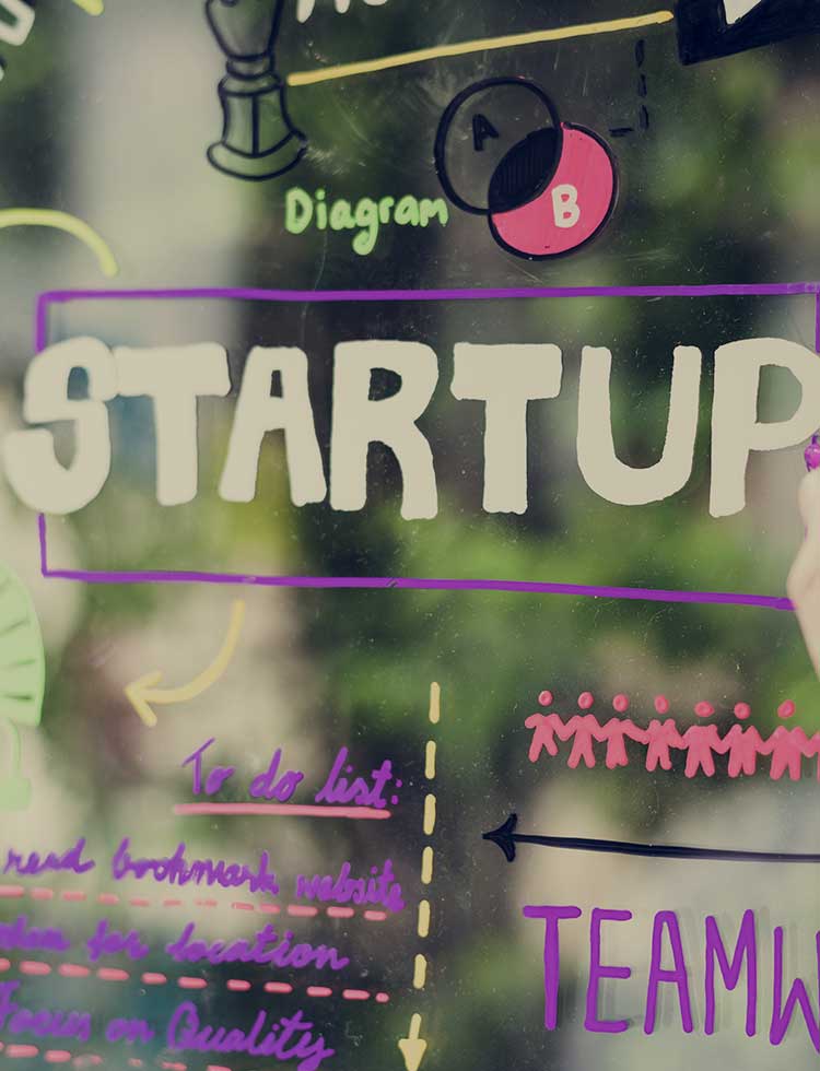 Ayudamos a las Startups